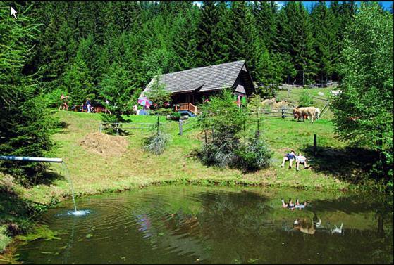 Panoramadorf Saualpe Hotel Eberstein Exterior foto